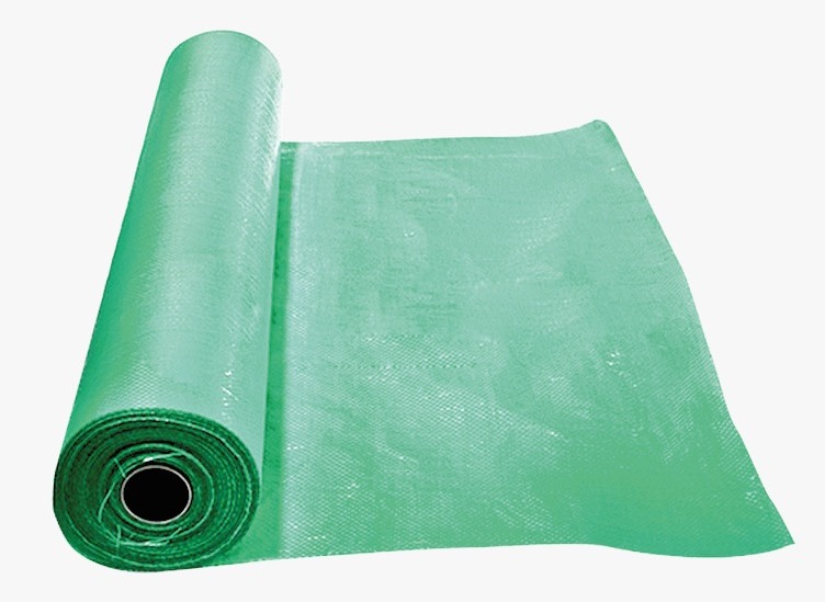 WhatsApp Image 2025-10-16 at 4.49.35 PM